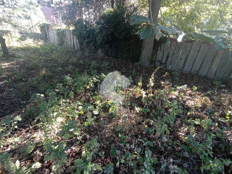 Foto 911f6c1d-3487-4296-b966-862dcf8fc39b. Édifice dans Celanova