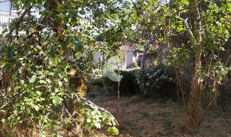 Foto 26611c32-4954-42d0-9296-a7eee78c42d0. Casa amb aparcament a Piñor
