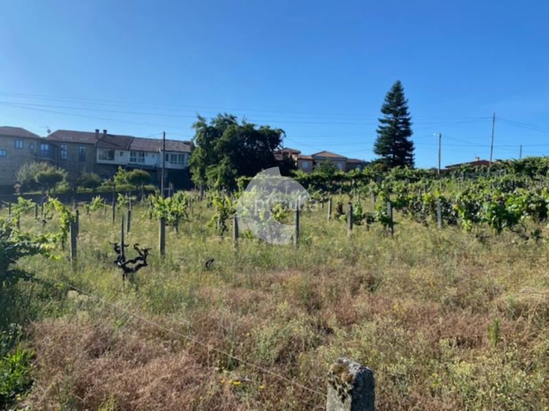 Foto 162b7322-04c2-44ee-8739-17b5d1daba37. Terrain résidentiel dans Barbadás