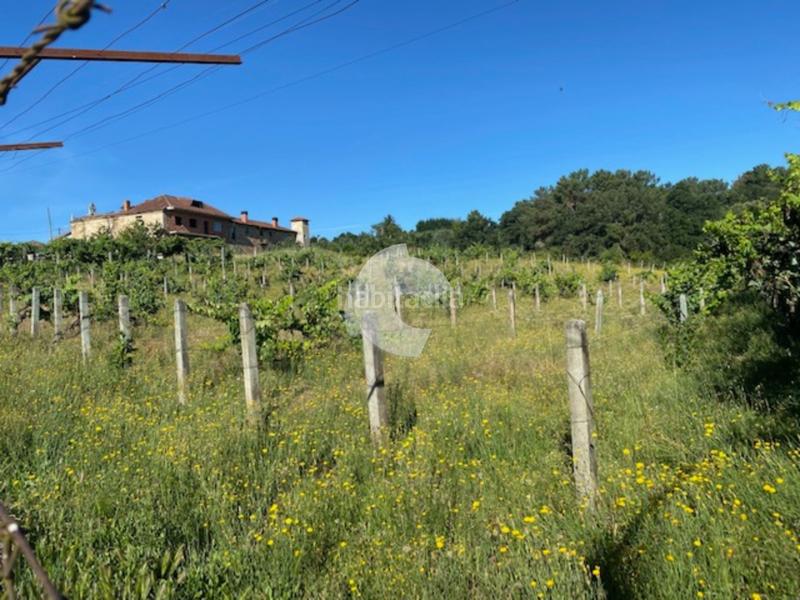 Foto 9dffec7f-21c1-429f-8322-acac1e5b6d07. Terrain résidentiel dans Barbadás