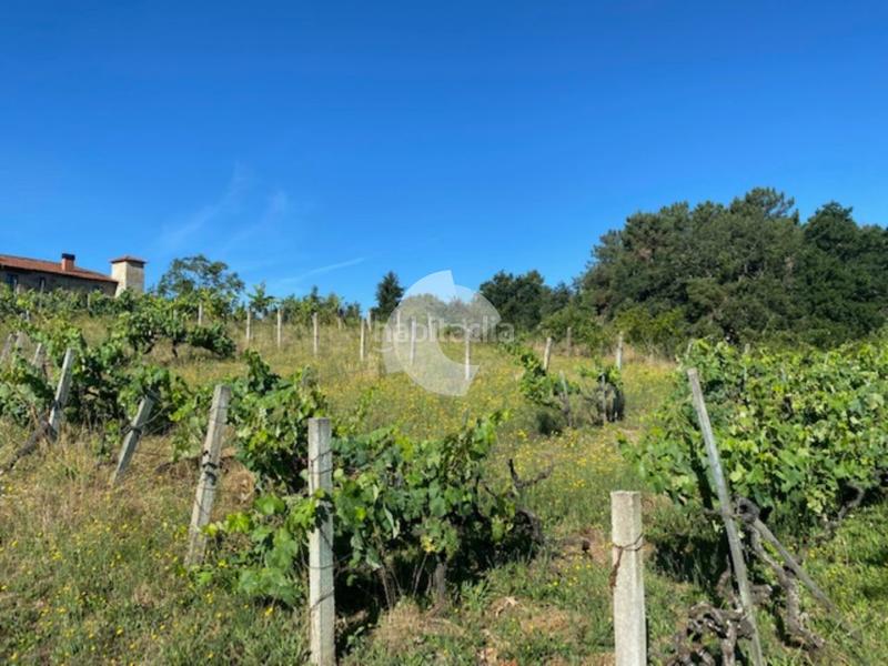 Foto dbef6f72-c18f-4b79-bf47-10af1b346cdf. Terrain résidentiel dans Barbadás