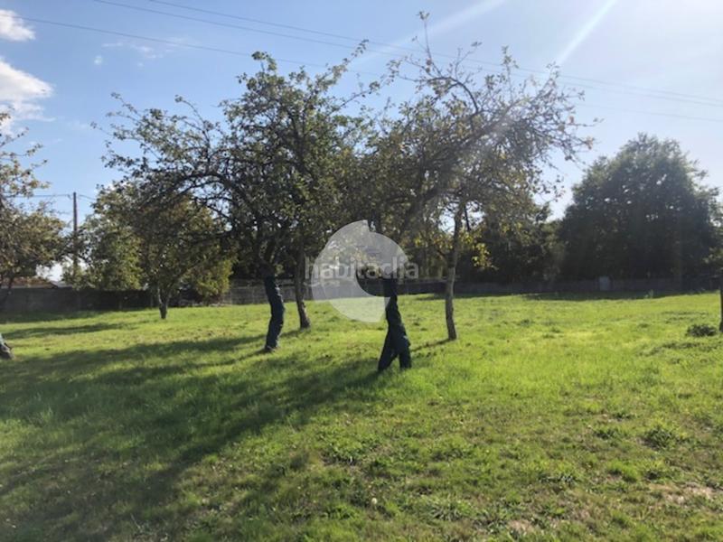 Foto 4498a4ba-f9ff-4494-a489-2024b8119fb5. Terrain résidentiel dans Nogueira de Ramuín