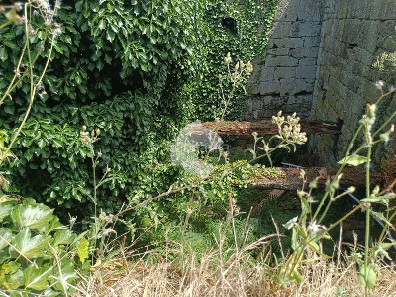 Foto d1213cfb-a764-48d1-8c60-51b8de66116c. House in Coles