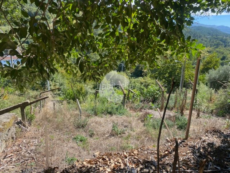 Foto 2f37ba7d-012d-4c01-aa34-06872c86eeeb. Casa a Lobios