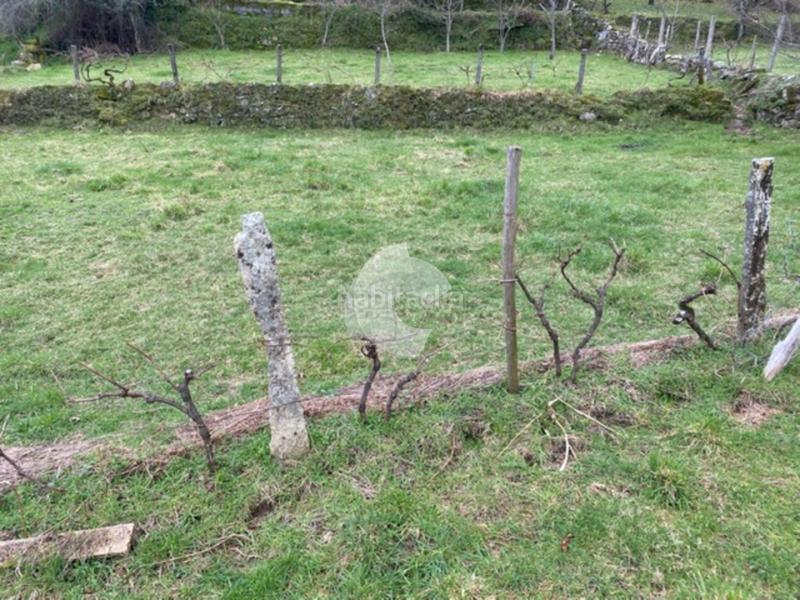 Foto 81bc590d-d4d8-42ce-a411-3c717365f878. Casa in Entrimo