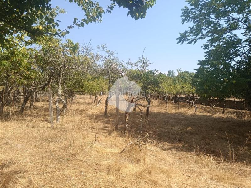 Foto 7781b707-975e-4c82-8c81-674d18219bf1. Terreny residencial a Vilamarín