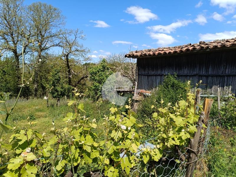 Foto 6a378d0f-a518-4e70-adc6-2ee5211a6cce. Maison jumelée dans Taboadela