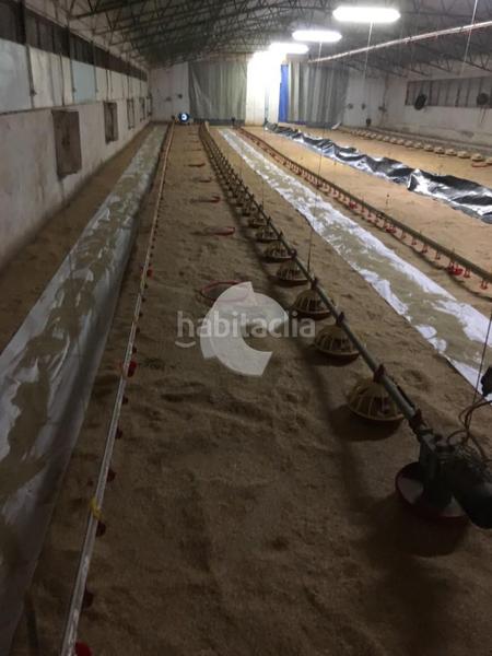 Foto 1dff6b16-90b0-4ff0-8382-1da6b0a06f62. Bâtiment à usage industriel dans Lobios