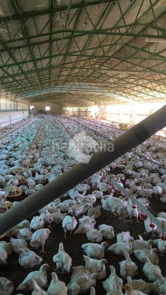 Foto 22c3c835-7d64-48ee-bc6e-0126361b31c1. Bâtiment à usage industriel dans Lobios