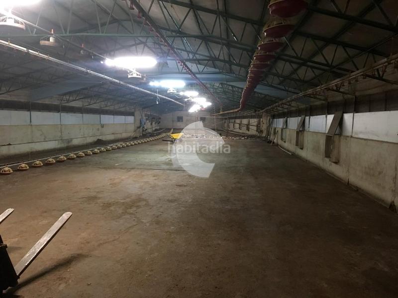 Foto 3095e5fe-82d1-4fb4-929a-f5078d3c5e91. Bâtiment à usage industriel dans Lobios