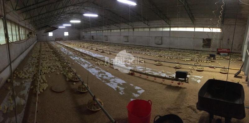 Foto 99b836d3-c637-42ac-a35d-be47faaa590f. Bâtiment à usage industriel dans Lobios