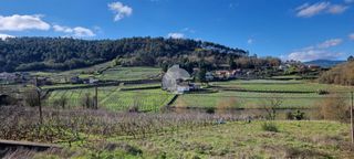 Wohngrundstück in Toén. Excelente oportunidad en alongos, suelo de 70.000 m2 con pazo, c