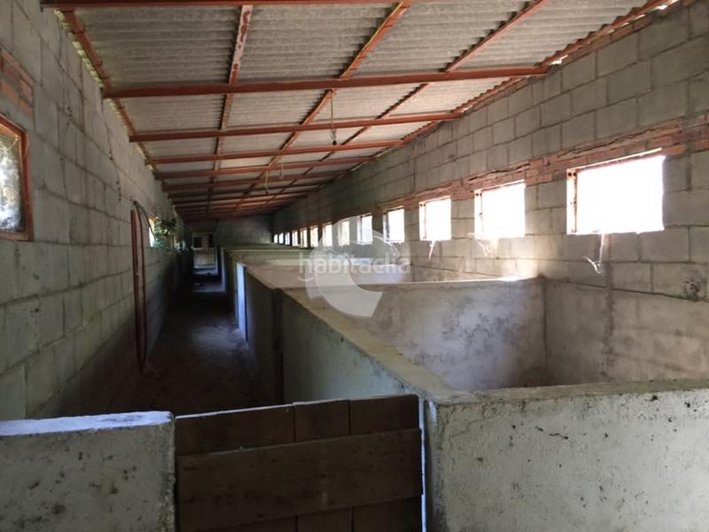 Foto 01ef4b8b-cdcd-4baa-812c-f50be0e2eaad. Bâtiment à usage industriel dans Entrimo