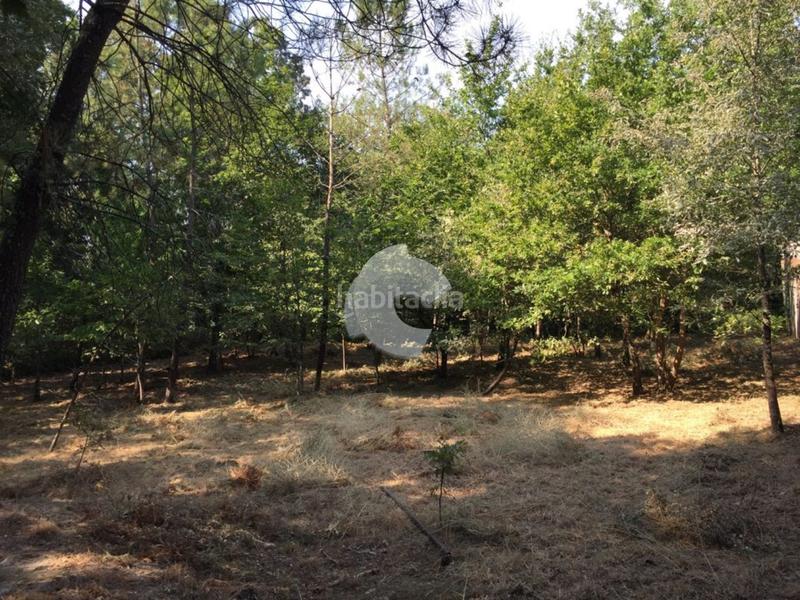 Foto 8648df95-4168-4ac3-983b-d454089bc42b. Bâtiment à usage industriel dans Entrimo