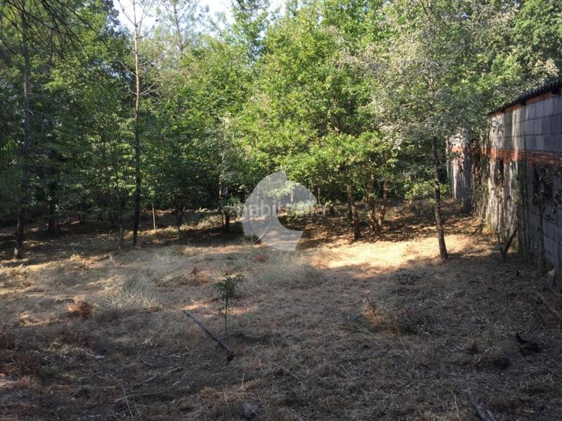 Foto a532d4f1-5dd2-42fe-b4a4-af1f6f216719. Bâtiment à usage industriel dans Entrimo