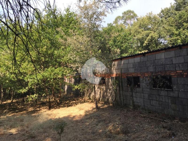 Foto bcadaf0c-1196-45cf-8fb8-308594a48a0a. Bâtiment à usage industriel dans Entrimo