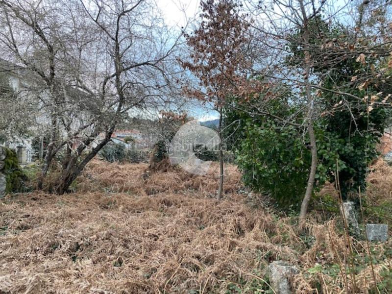 Foto 7f6a88a3-1ea1-4a38-b9b2-180b70fe8196. Casa in Entrimo