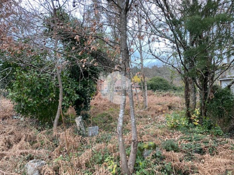 Foto ab8cf70a-0373-4f36-aeae-a18df82738da. Casa in Entrimo