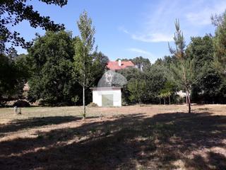 Terreny residencial  Rairo. Finca rústica de 5.000m2 con galpón en rairo.
