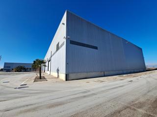 Lloguer Nau industrial a Polígono 2 parcela 185 margalef. torregrossa (lle 2. Alquiler de 6000m2 nave industrial en torregrossa en punto estra