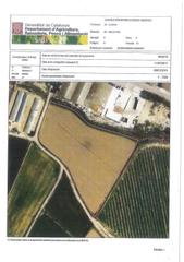 Finca rústica  Avinguda d'urgell. Venta de terreno agrícola en bellpuig