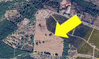 Rural plot  Carrer pintor ferrer