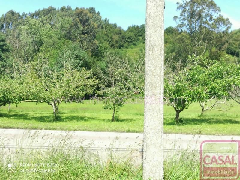 Foto 3706e9e8-bab0-45da-a195-a404d0e25db8. Terreny residencial a Carreño