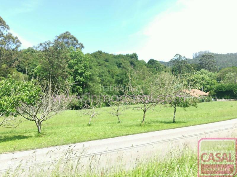 Foto aefc717f-9597-4647-b492-d345e71f8870. Terreny residencial a Carreño