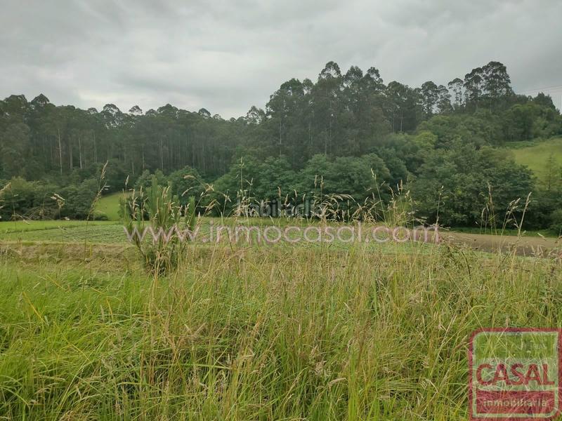 Foto 336584f2-b4c8-4133-b20f-5a456562438e. Casa amb aparcament a Carreño