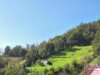 Terrain résidentiel à Santa Marina - Polígono. Se vende finca de 12.000m en villar de ujo. delimitada y perfect
