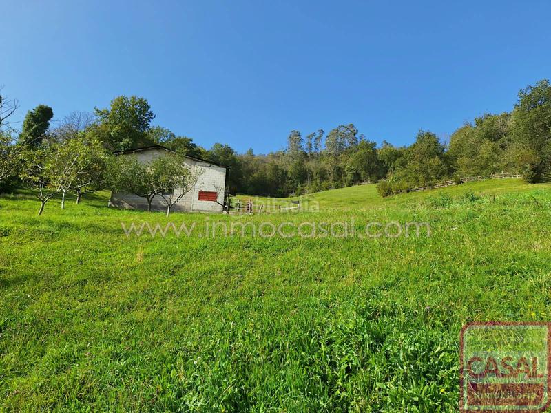 Foto 07c145de-3216-4da0-a49c-68b3a670f15a. Terreny residencial a Santa Marina - Polígono Mieres