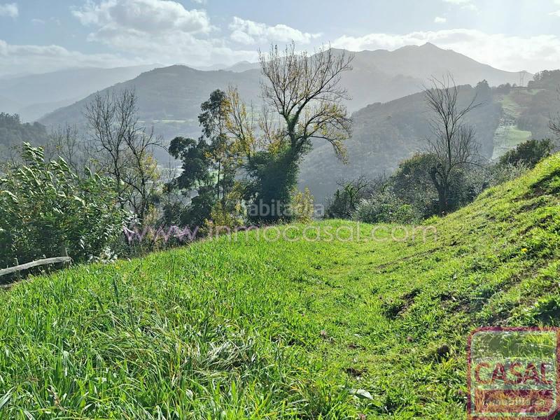 Foto 3df37cec-0345-4f4e-a5d5-61227c9eb0ec. Terreny residencial a Santa Marina - Polígono Mieres