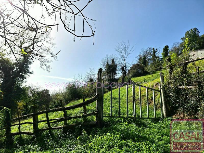 Foto e27da3c2-511b-4a72-b1e5-5be69ff0573b. Terreny residencial a Santa Marina - Polígono Mieres