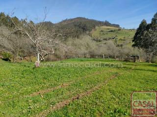 Terreny residencial a Illas. Finca en venta en el concejo de illas. si está buscando una finc