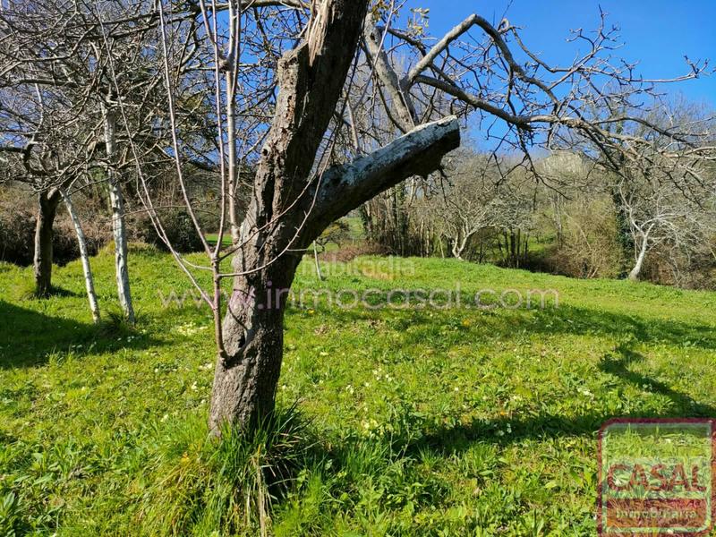 Foto 7df13f4a-a8fb-460e-aa46-4adee3f7f13b. Terrain résidentiel dans Illas