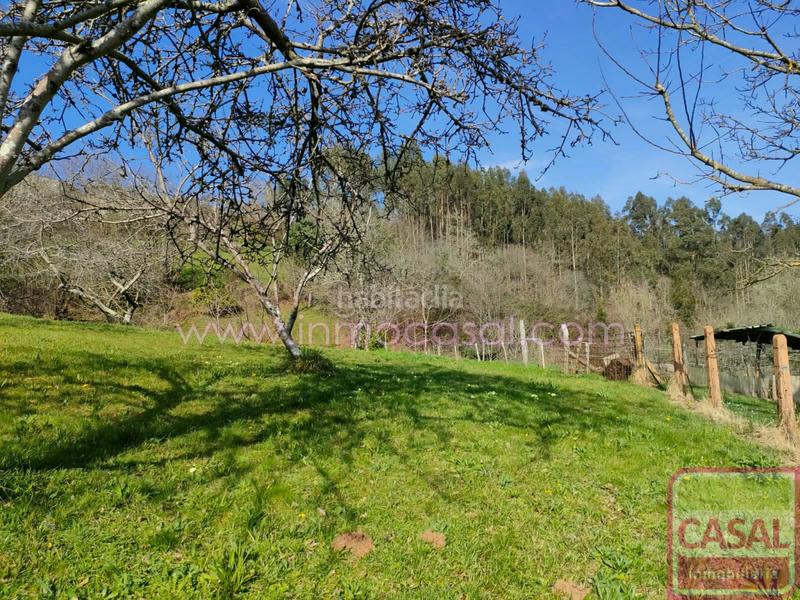 Foto adcb240e-3527-465f-b1a4-ab8096d58d9b. Terrain résidentiel dans Illas