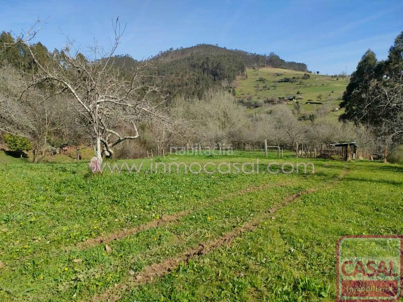 Foto b87ad763-d775-4213-9f70-8d10af8f5f51. Terrain résidentiel dans Illas