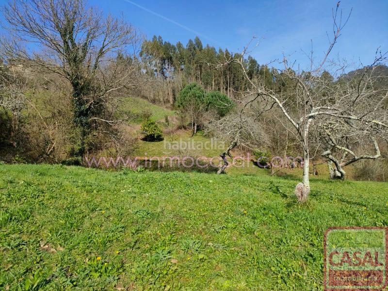 Foto c6d40381-7c24-4aaf-85a8-ef07e6080860. Terrain résidentiel dans Illas