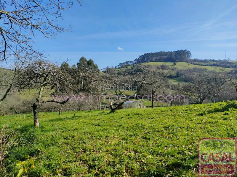 Foto c7ff4ca6-a651-41cc-ae0d-1879b7661024. Terrain résidentiel dans Illas