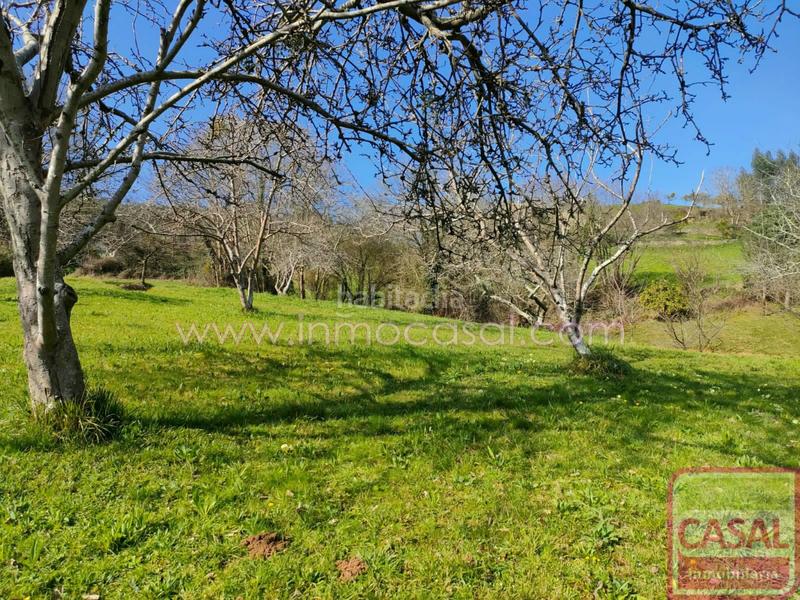 Foto cf6e51e8-5119-40d6-aee4-acda3f4a5bc3. Terrain résidentiel dans Illas