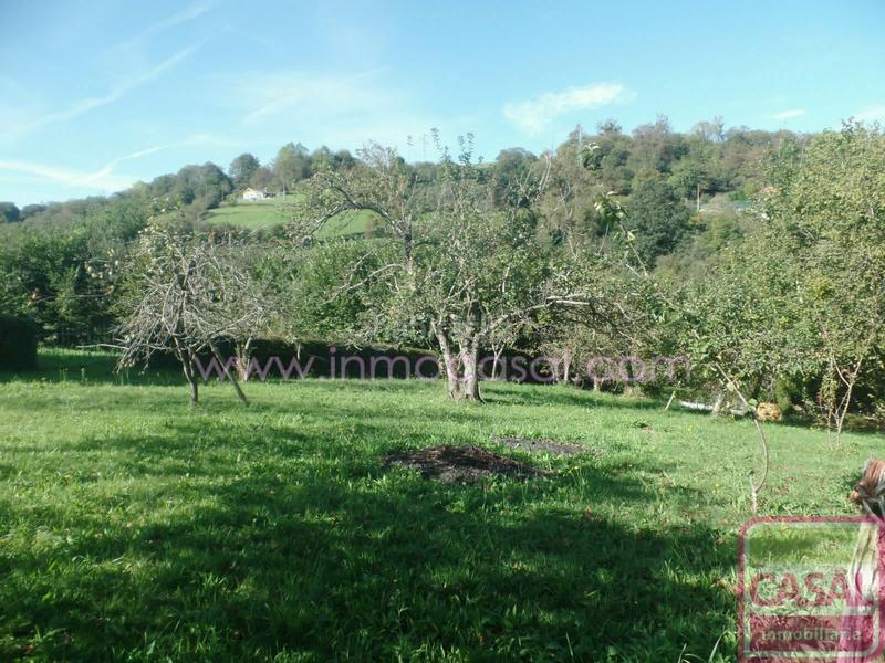 Foto 966f22fd-6f6a-432d-b890-3d8c4020f308. Casa a Lada Langreo