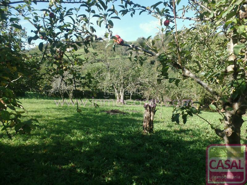 Foto bf30fc1c-d5f5-496c-a1f0-50a982141470. Casa a Lada Langreo