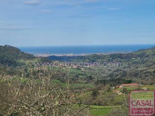 Terreny residencial  Poligono 17 parcela 86. Se vende finca de 7.774 m2, en la collada, siero, a 20 minuto de