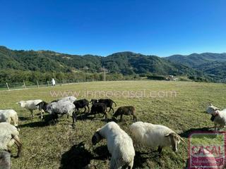 Terreno residencial en Zona Rural. Conjunto de edificaciones sobre terreno en el alcibiu. casa para