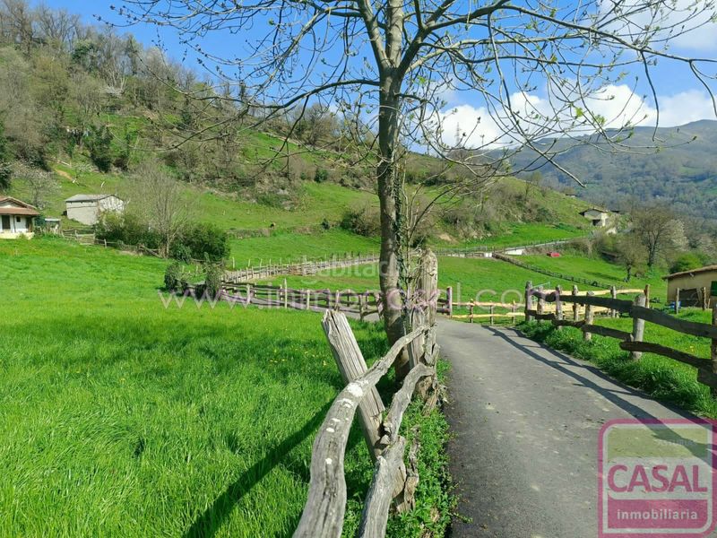 Foto 0129e937-c9c7-4b09-bb35-a03c966a9d42. Casa amb calefacció a Aller