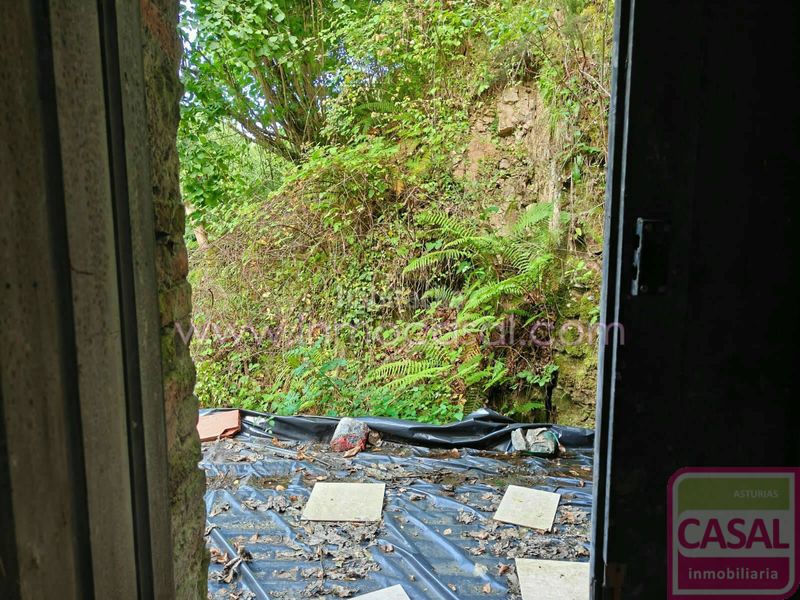 Foto 1eea390b-95a2-48d9-9329-855926b407ca. Edifici a Zona Rural Mieres