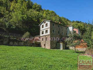 Casa  La riera. Somiedo. dos viviendas independientes en la riera, con finca de