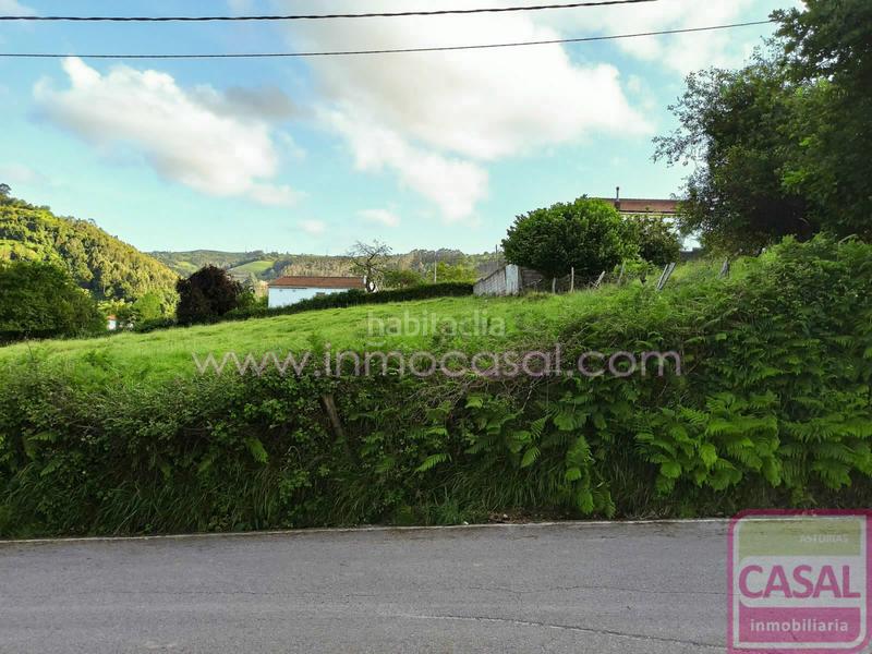 Foto 0ba883d7-ea07-43fd-9aad-041caa912377. Wohngrundstück in Huerces Gijón