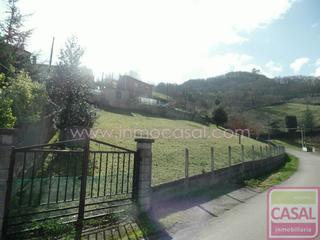 Terreny residencial a San Martín del Rey Aurelio. Se vende finca no urbanizable, cerrada, con acceso rodado. luz y