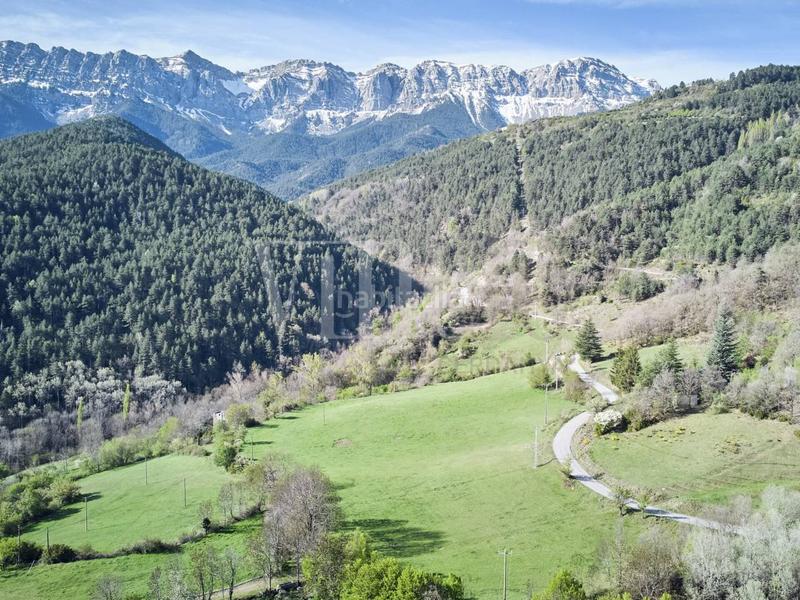 Foto 4044d6b9-c76a-48e2-9c81-4c66b983c388. Masía venta de masía en martinet en Montellà i Martinet